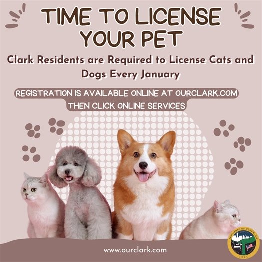 pet license