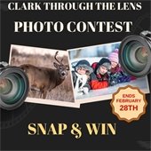 photo contest