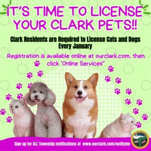 January is pet license month