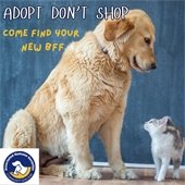 Adopt don't shop pet adoption with Newark Humane